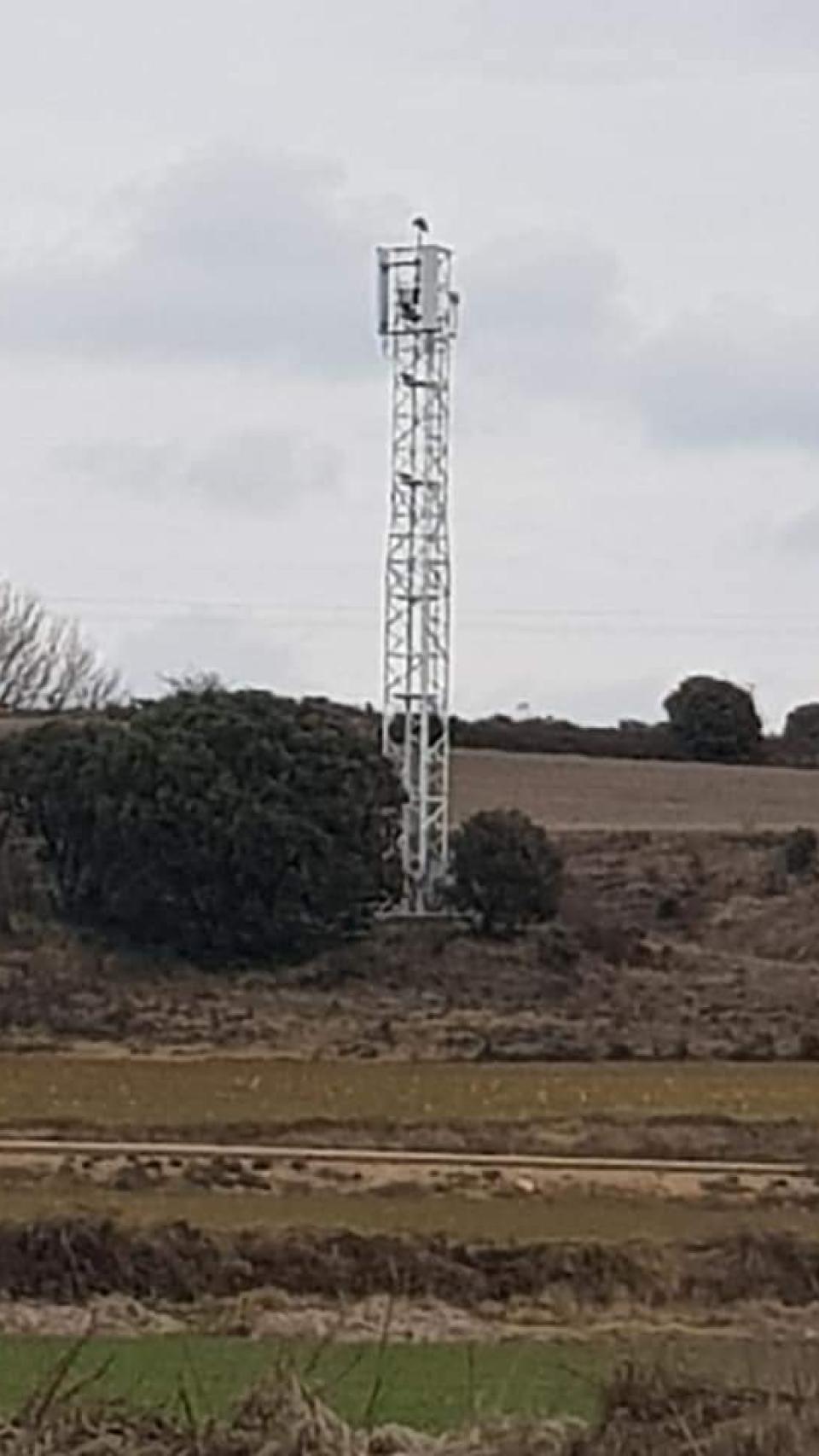 Imagen de la antena de telefonía