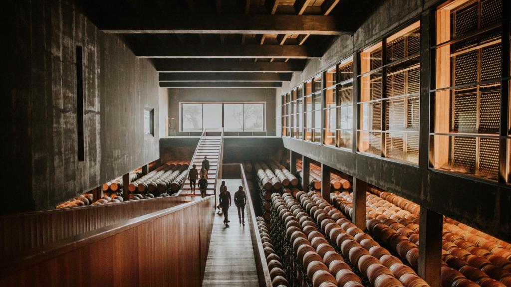 Bodegas Logroño: Campo Viejo