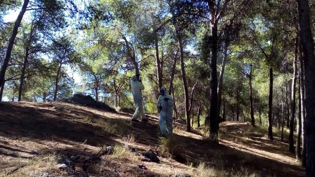 Imagen de archivo de unos operarios fumigando en El Morlaco.