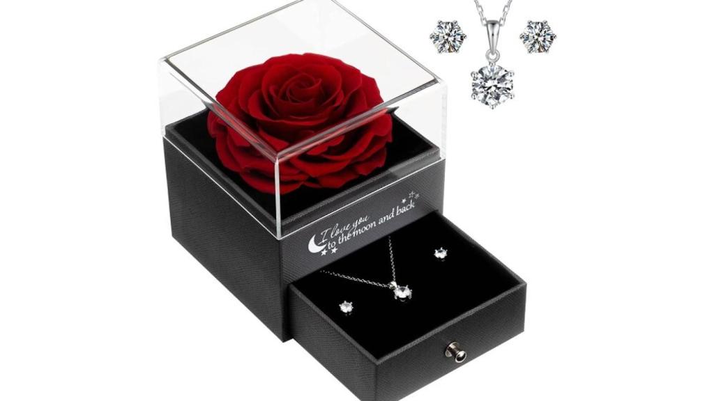 Rosa con cadena de plata