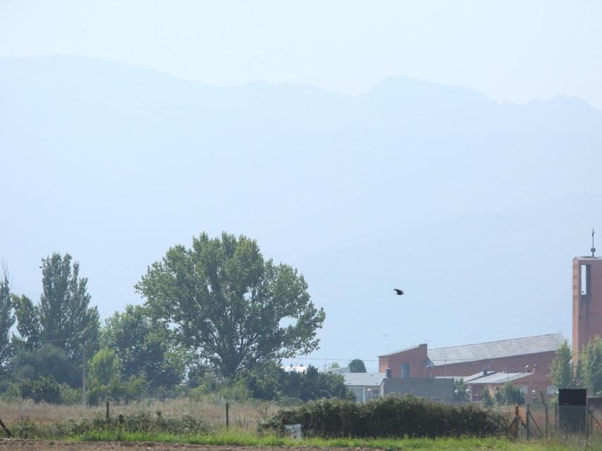 Calima en El Bierzo / César Sánchez ICAL .