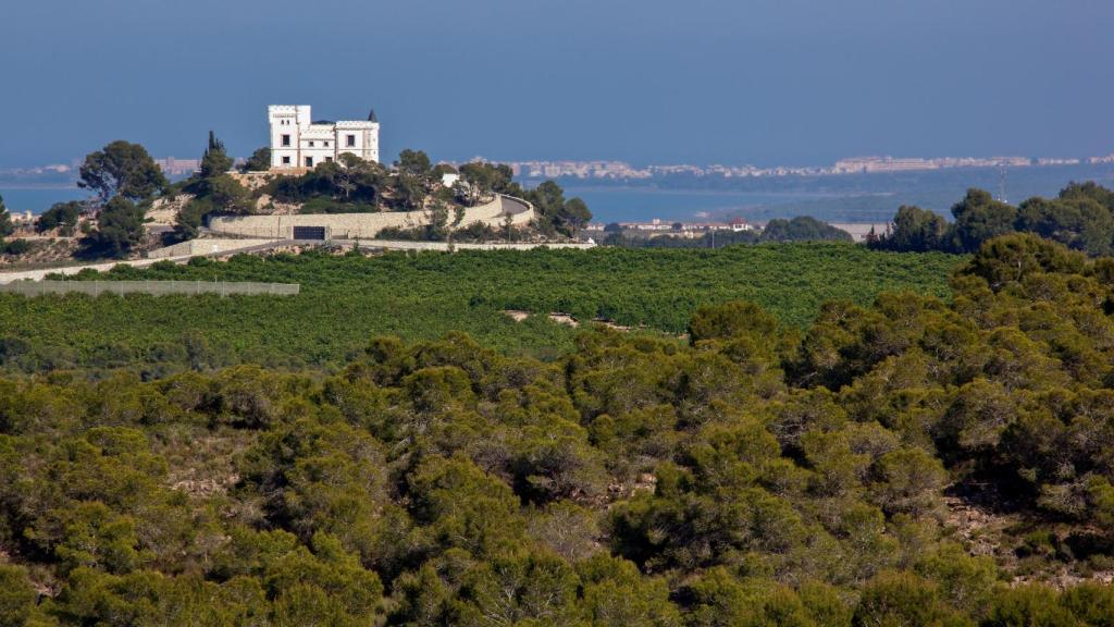 Castillo de Montemar, cerca de Algorfa (Alicante).