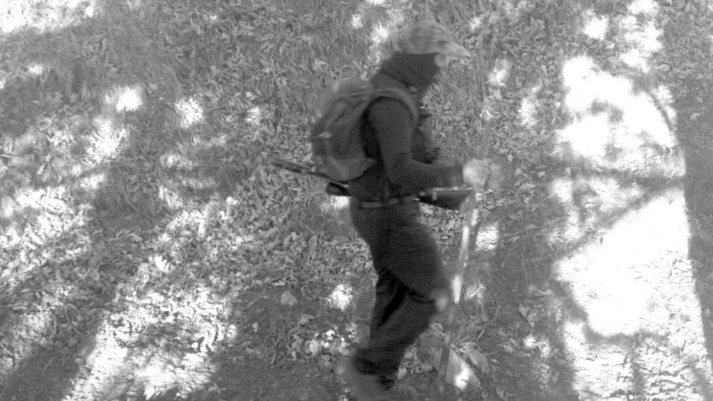 Imagen de un furtivo captada por FAPAS.