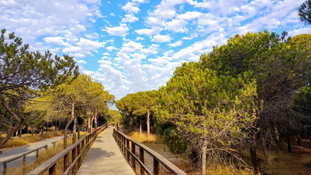 Dunas Guardamar del Segura.