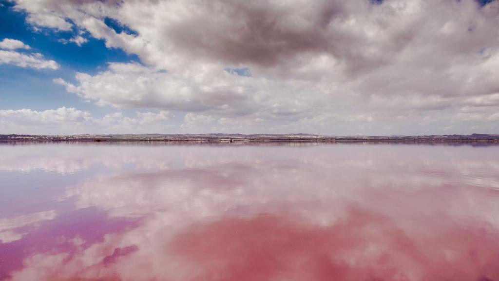 Laguna Rosa Torrevieja.