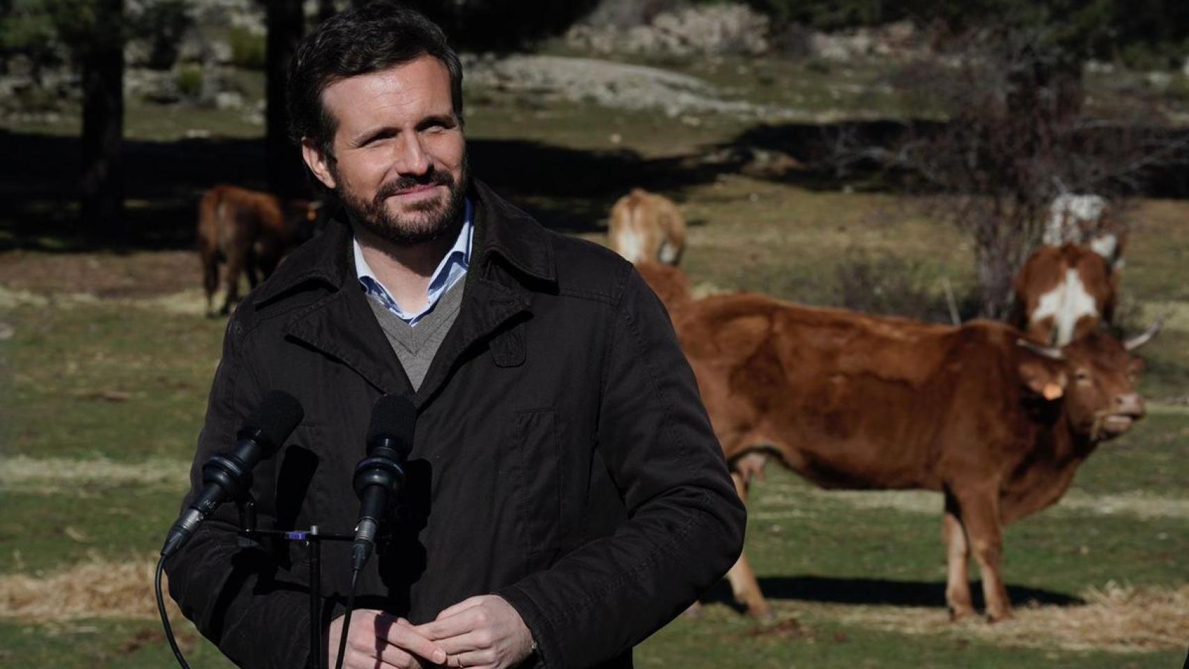Casado y Mañueco, la campaña electoral en la que todo sale mal