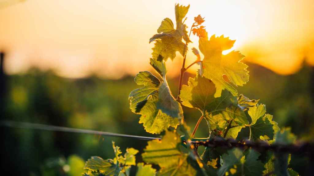 La tierra y el sol como ética