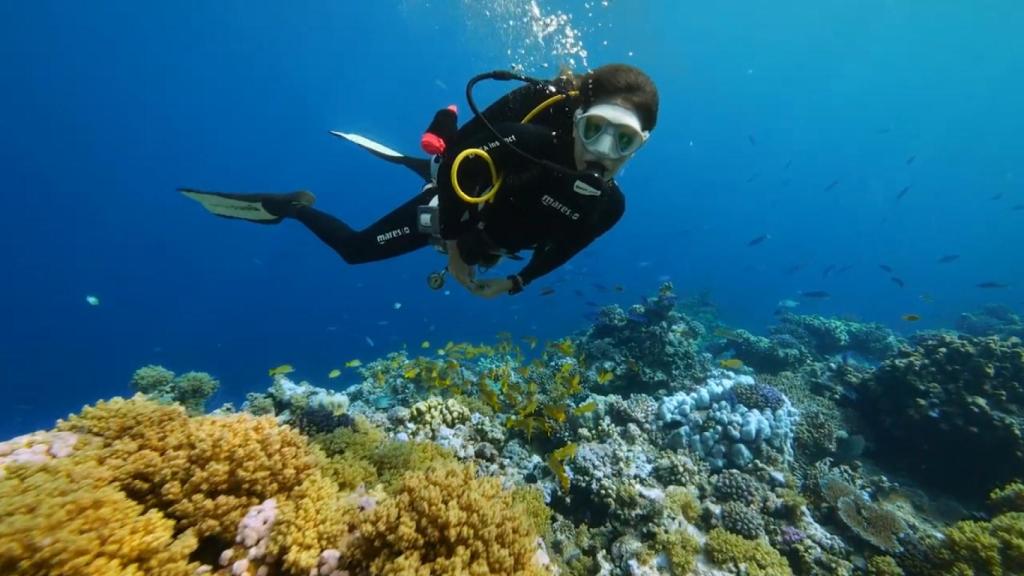 En 'Rumbo al pasado', Laura y su equipo exploran los fondos del Mar Rojo en Sudán.