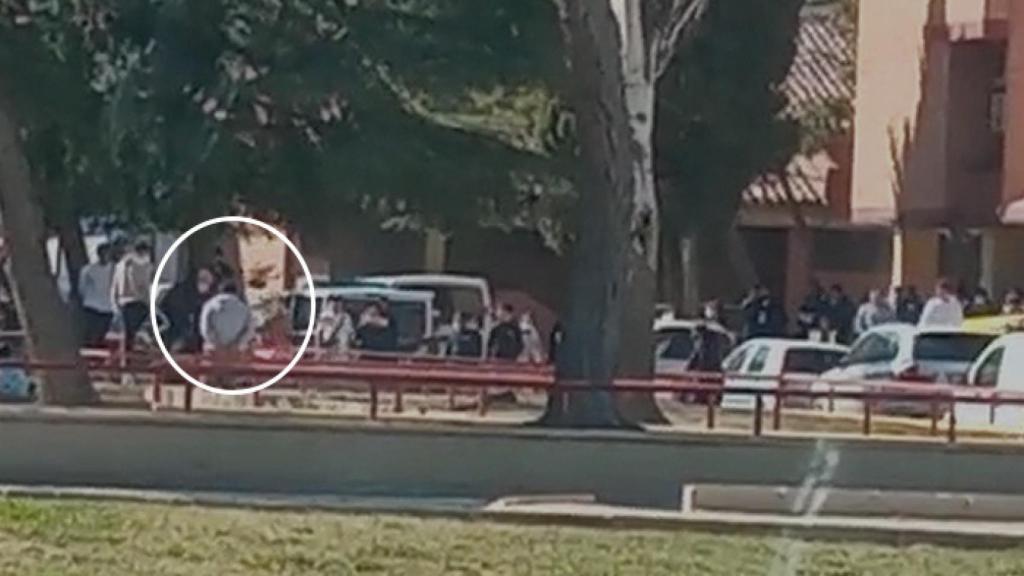 Foto: Real Federación Española de Colombicultura