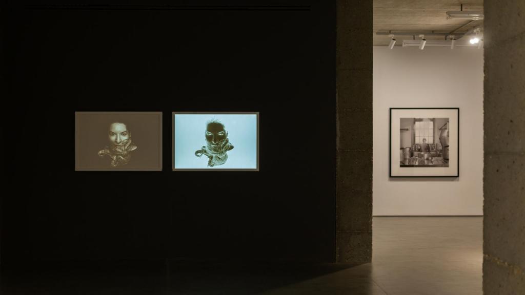 Vista de la exposición. Foto: José Carrillo