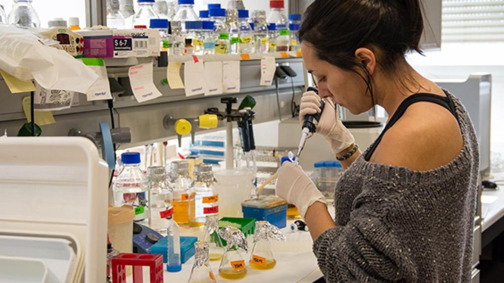 Investigación en la Universidad de Salamanca