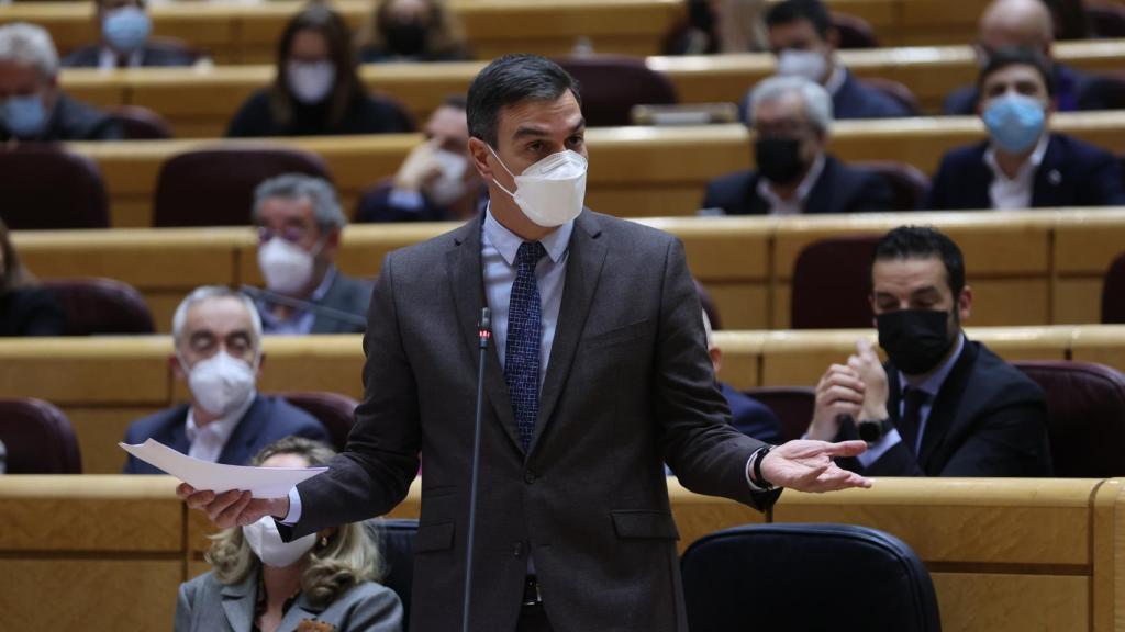 El presidente del Gobierno, Pedro Sánchez.