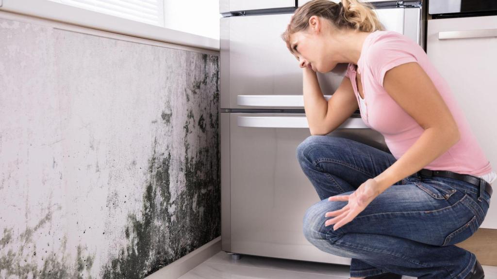 Sanysec, empresa especializada en tratamientos antihumedad.