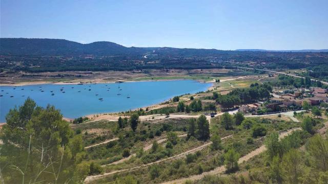 636446915_218522771_1706x960