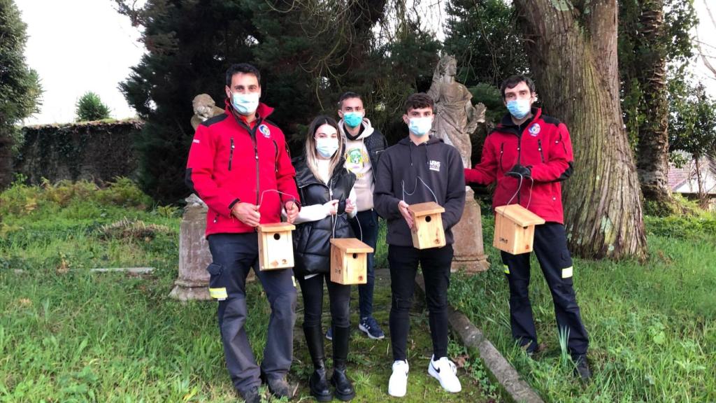 Casas-nido para pájaros en Cambre