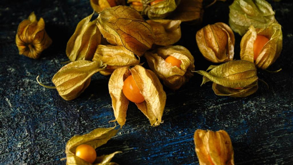 Physalis, el superalimento de moda que se cultiva en Galicia