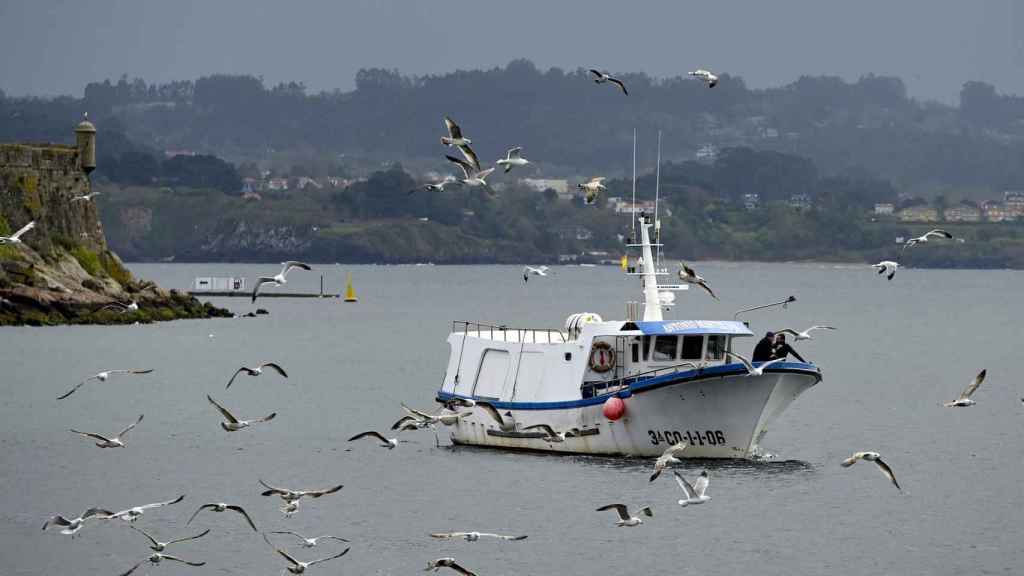 Un barco de flota artesanal en la dársena de A Marina en A Coruña.