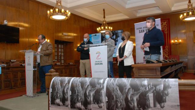 Vuelve la Exposición y Subasta de la Raza Asnal Zamorano Leonesa en San Vitero el 19 de marzo con un amplio programa de actividades