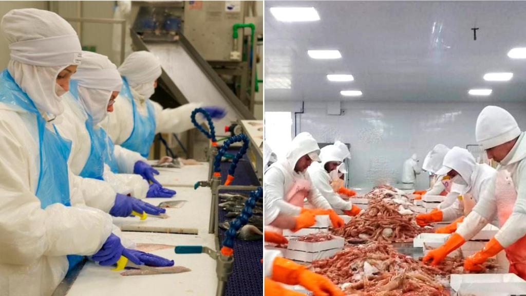 La compañía gallega es uno de los proveedores de Mercadona