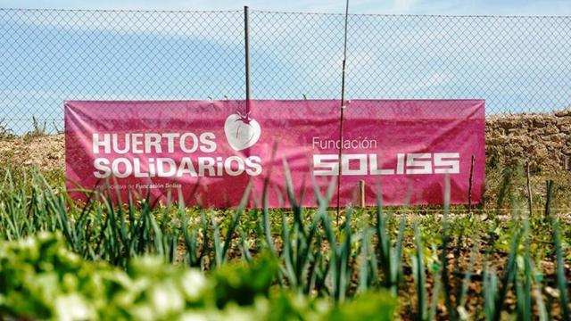 Los huertos están adquiriendo un mayor papel para cubrir el aumento de necesidades entre los que se ven perjudicados.