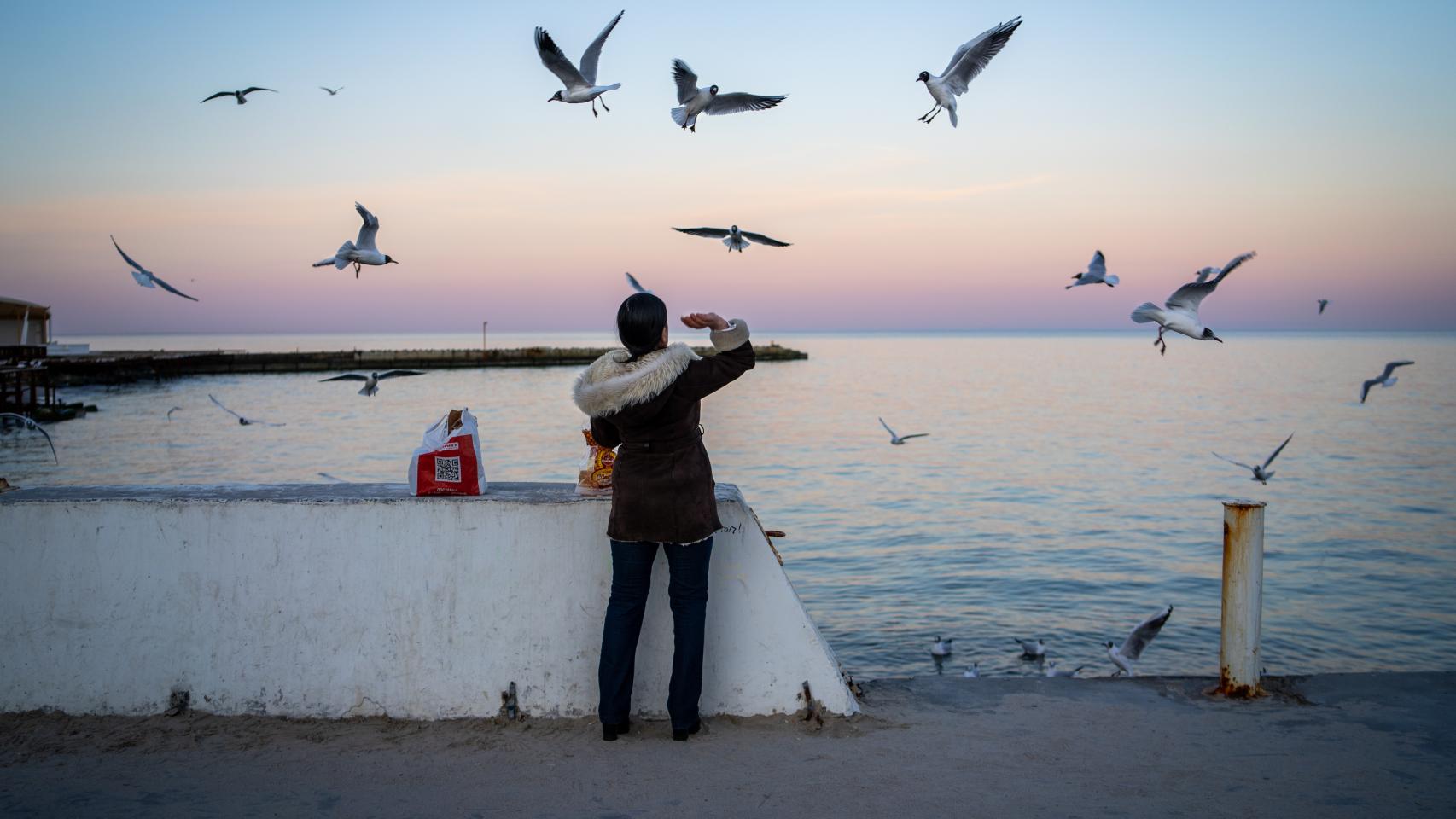 Una mujer alimenta gaviotas en Arkadia beach. / F.T.
