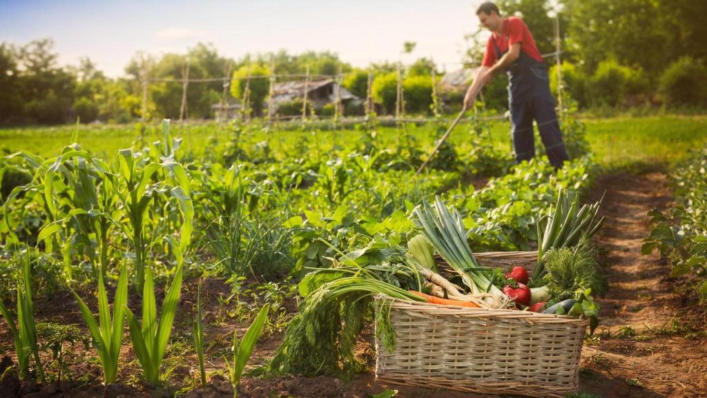 La Xunta abrirá el plazo de ayudas a partir de mañana.