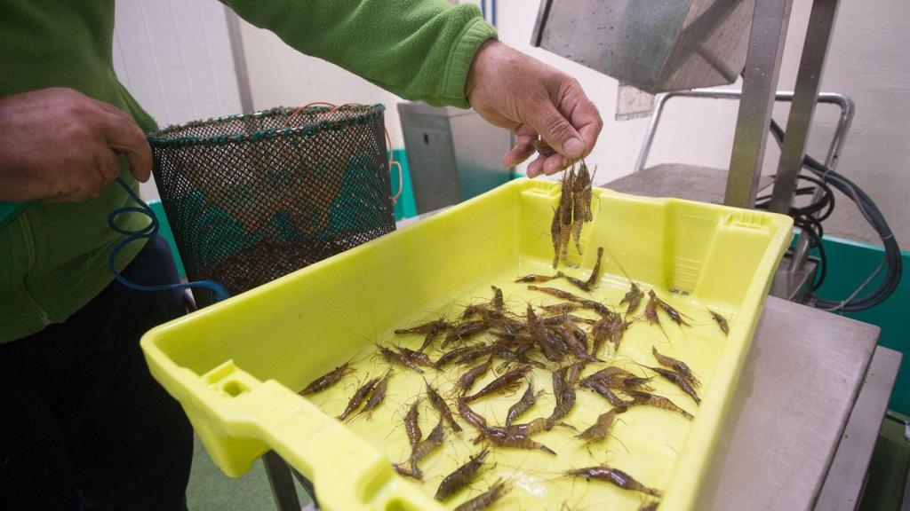Foto de archivo de un pescador jubilado.