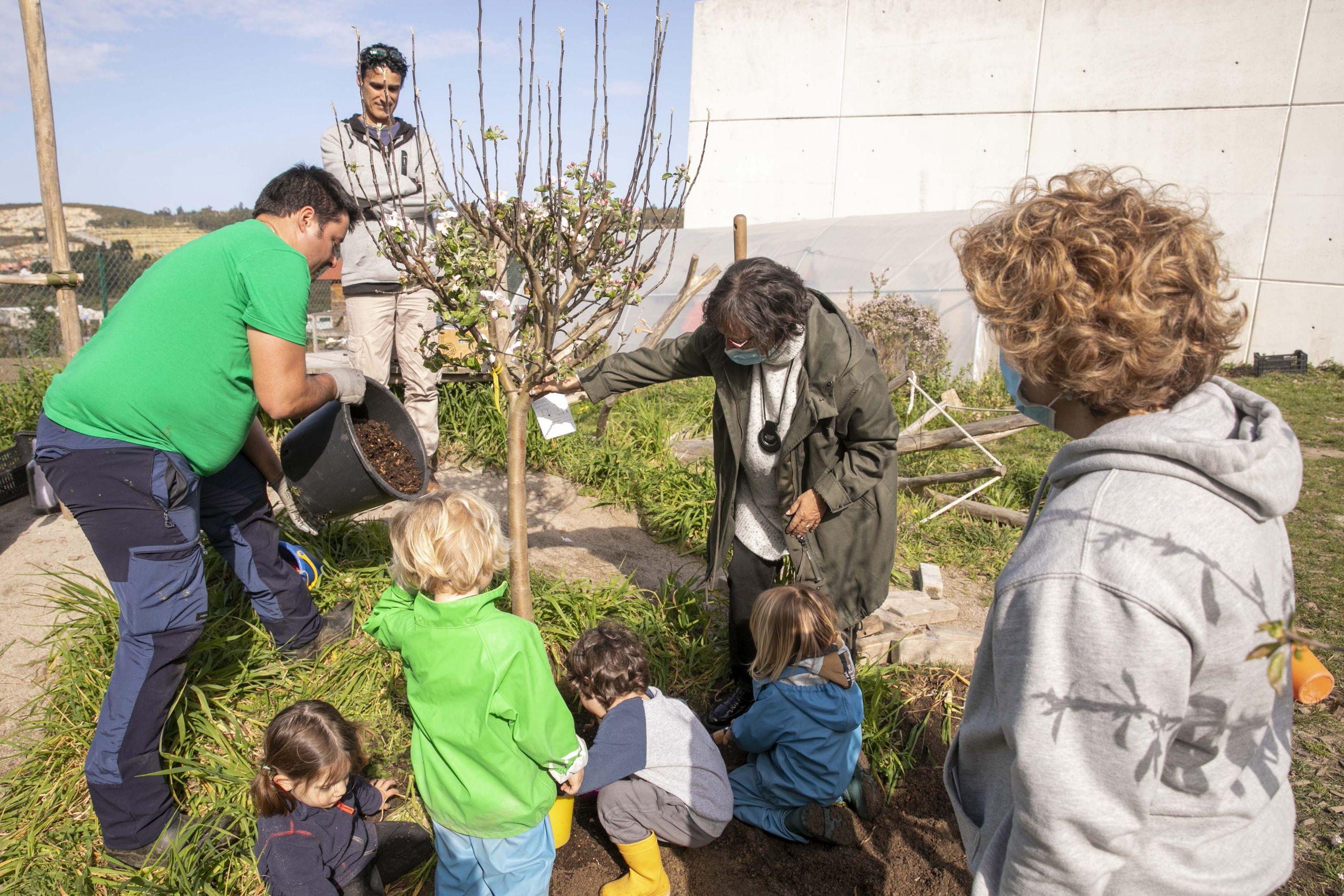 Plantación de árboles frutales en A Coruña