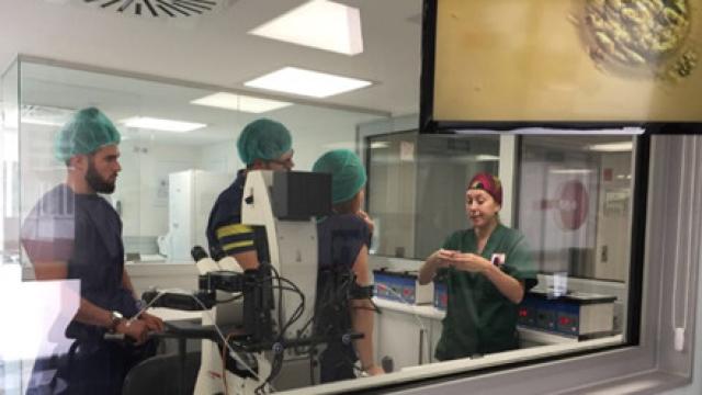 El laboratorio de cristal