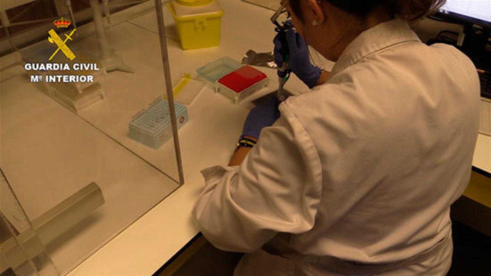 Laboratorios del Servicio de Criminalística de la Guardia Civil.