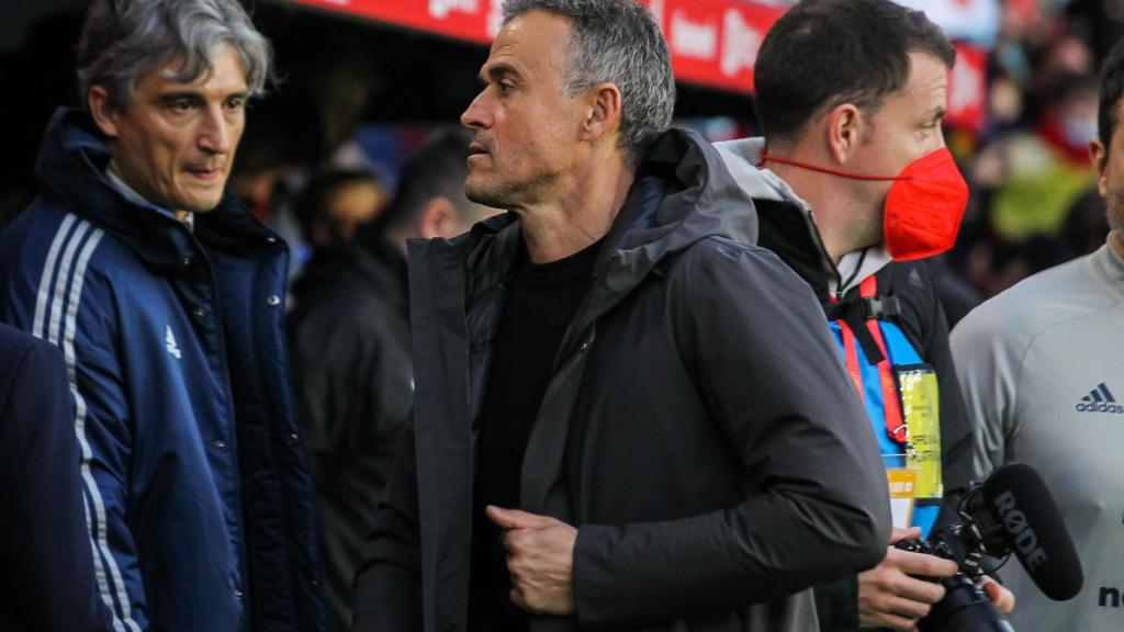 Luis Enrique, en el banquillo de España para el partido contra Islandia.