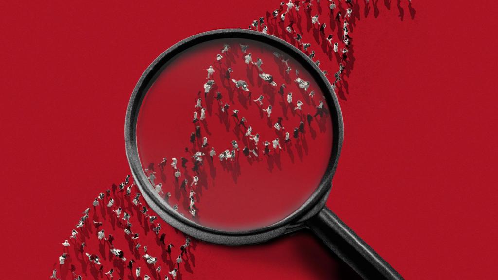 Una quinta parte de nuestro genoma condiciona nuestra altura.