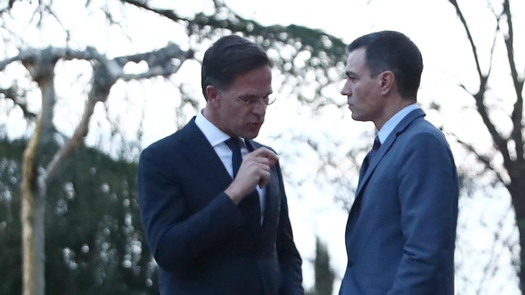 Mark Rutte, primer ministro de Países Bajos, aclara ideas con Pedro Sánchez, en los jardines de Moncloa.
