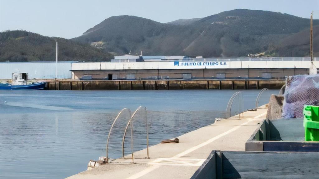 Lonja de Puerto de Celeiro.