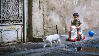 Esta es la mejor técnica para hacerte amigo de un gato