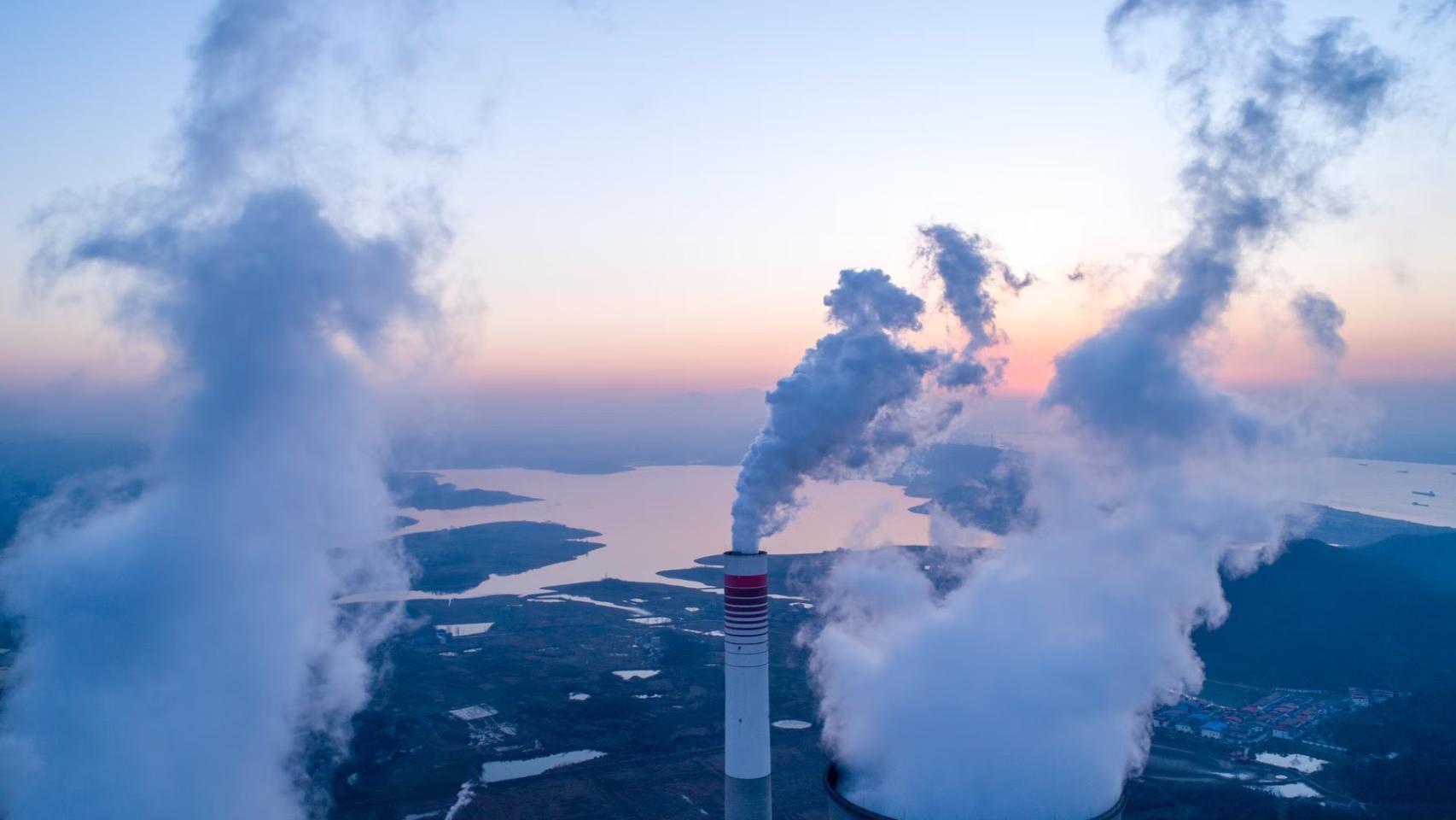 La descarbonización no será posible sin financiar reforestación, captura de carbono y gases renovables