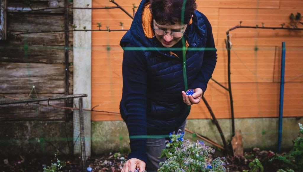 A Horta de Adelina, O Grove. Foto: Salnés Click