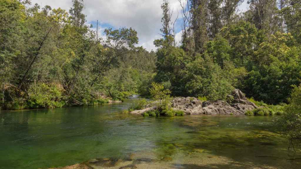 Curso del río Oitavén.