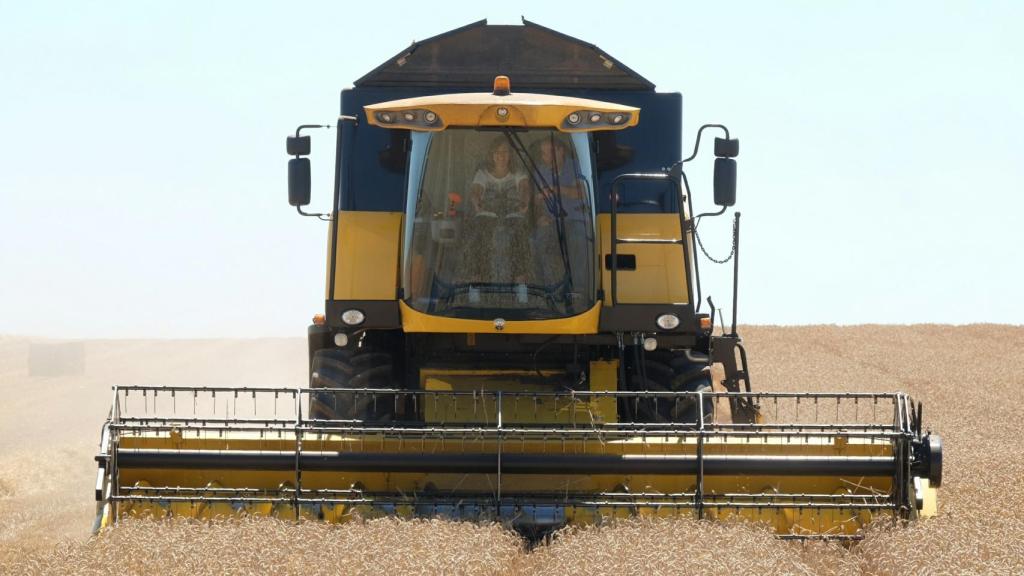 Cosecha de cereales.