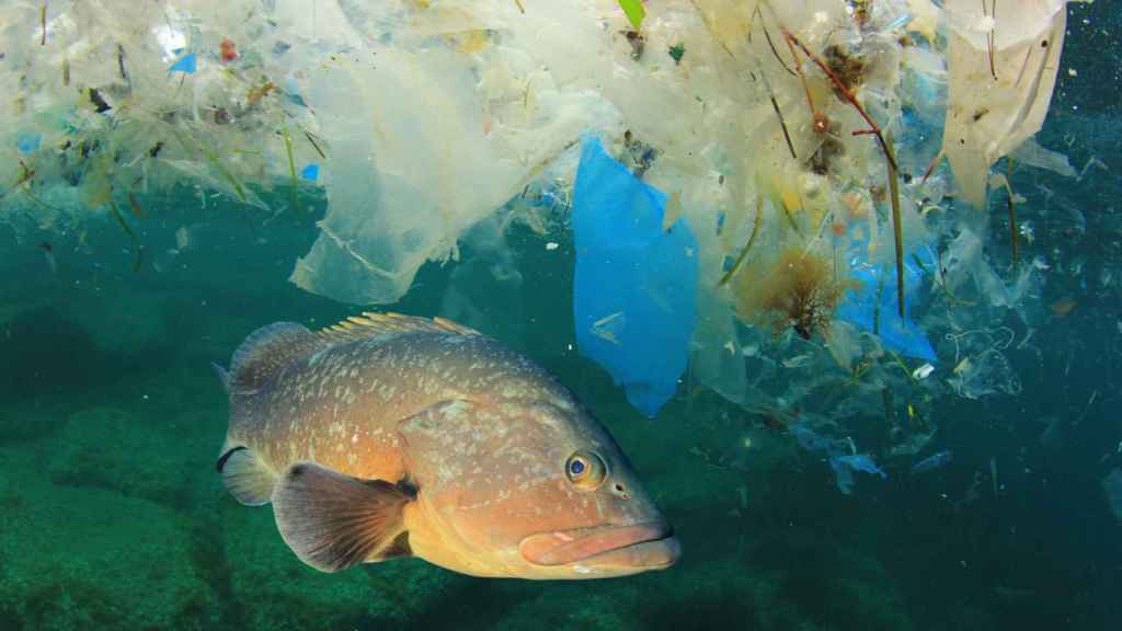 Contaminación en el mar.