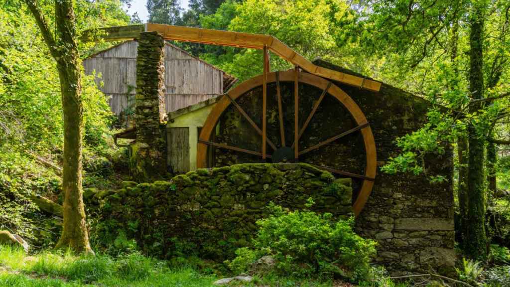 Noria del aserradero dos Carranos (Covelo).