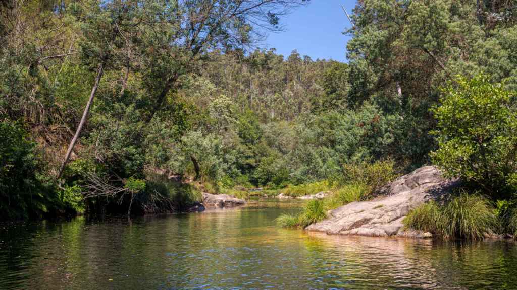 Vistas al río Verdugo.