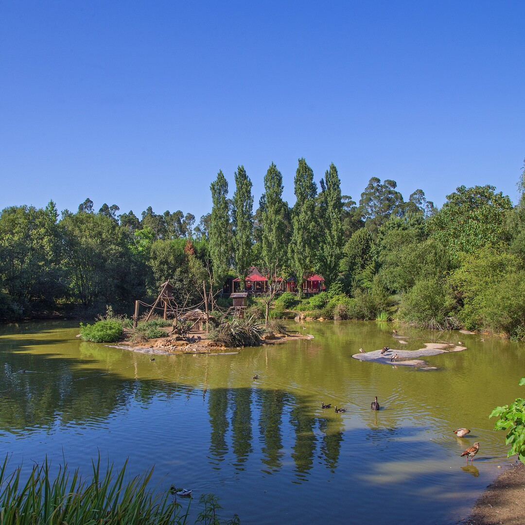 Lago del zoo. Imagen: Facebook Santo Inácio