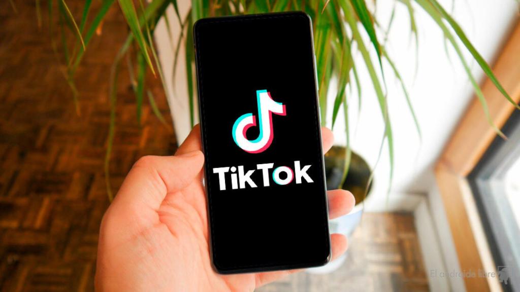El TikTok de pago ya está aquí