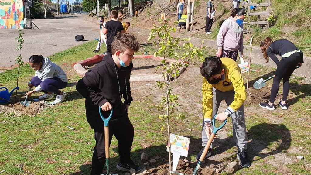 Alumnos del centro pontevedrés durante la jornada de plantación.