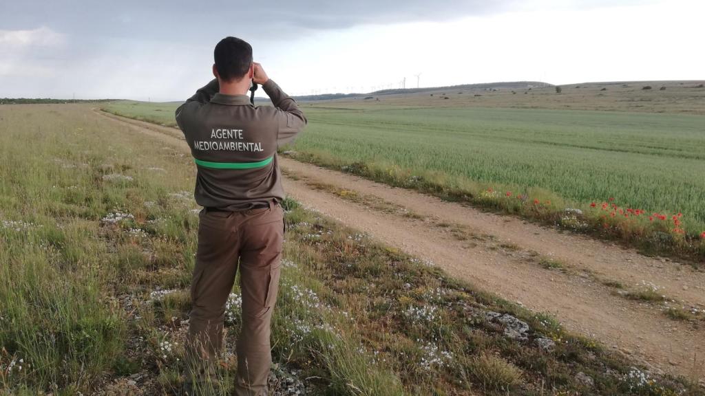 Agente medioambiental de la Junta de Castilla y León