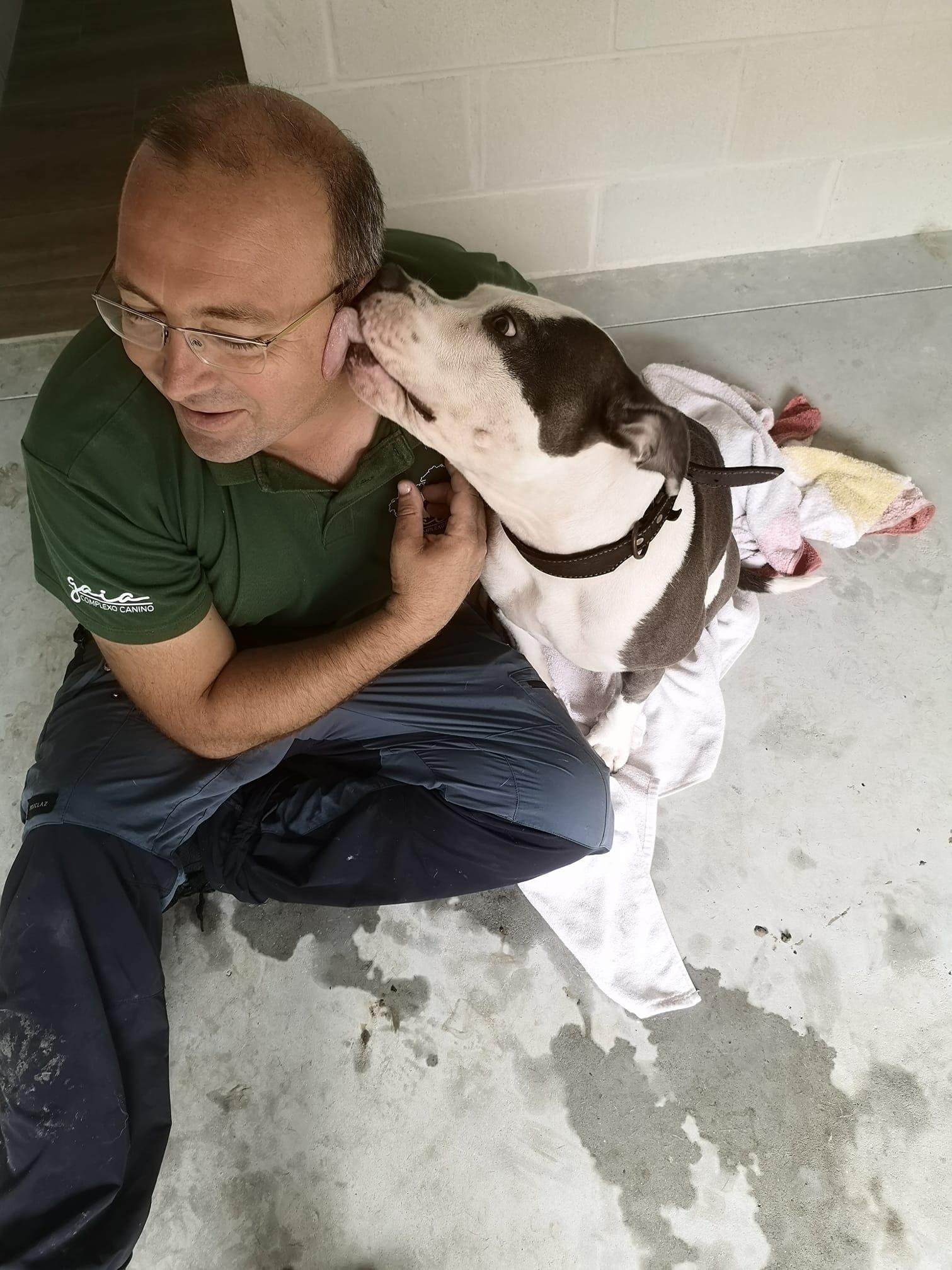 Marcos Brea con uno de los perros que estrenaron el Complexo Canino Gaia.