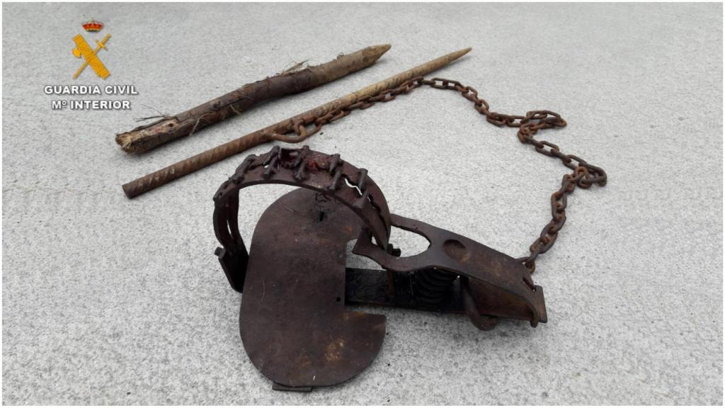 Uno de los cepos incautados.