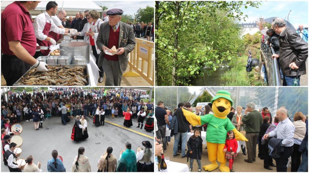 Ediciones anteriores de la Festa da Troita.