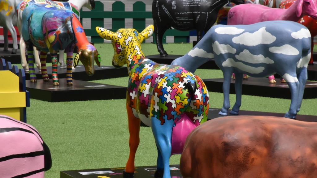 Exposición de 'Ovejas Cheese Fromago Experiencie' de la Diputación de Zamora en Valladolid.